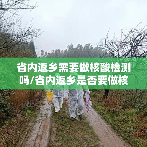 省内返乡需要做核酸检测吗/省内返乡是否要做核酸检测