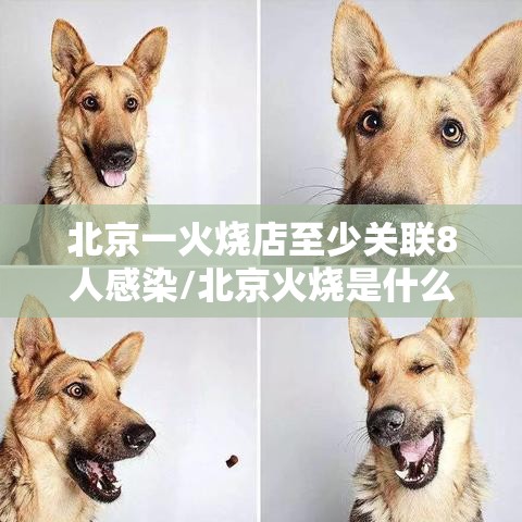 北京一火烧店至少关联8人感染/北京火烧是什么东西