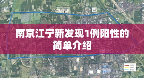 南京江宁新发现1例阳性的简单介绍