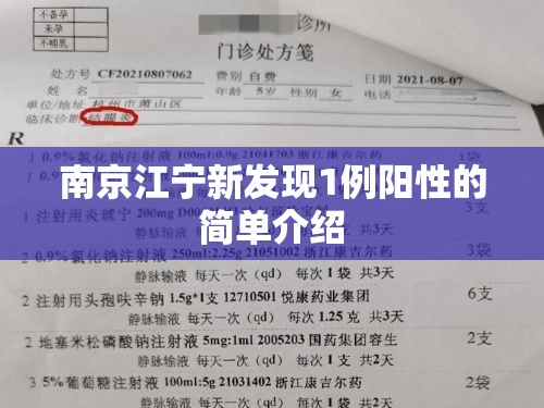 南京江宁新发现1例阳性的简单介绍