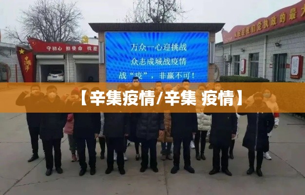 【辛集疫情/辛集 疫情】