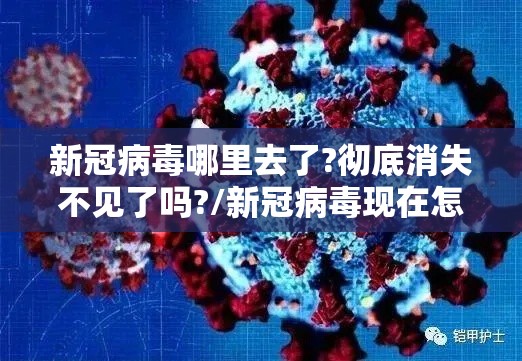 新冠病毒哪里去了?彻底消失不见了吗?/新冠病毒现在怎样了