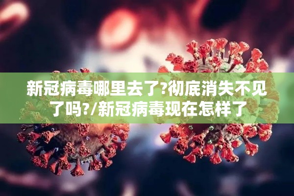 新冠病毒哪里去了?彻底消失不见了吗?/新冠病毒现在怎样了
