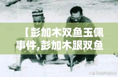 【彭加木双鱼玉佩事件,彭加木跟双鱼玉佩事件】