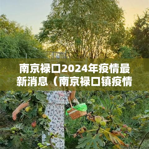 南京禄口2024年疫情最新消息（南京禄口镇疫情最新消息）