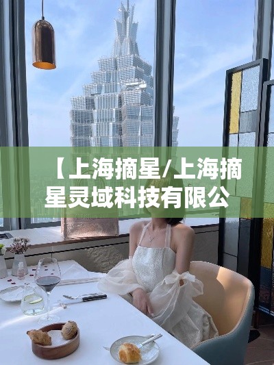 【上海摘星/上海摘星灵域科技有限公司】