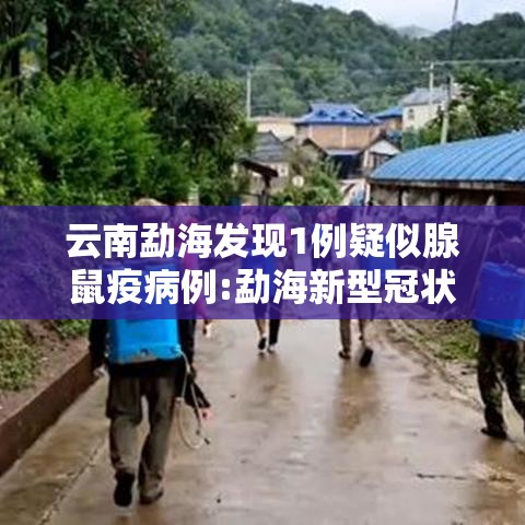 云南勐海发现1例疑似腺鼠疫病例:勐海新型冠状病毒疫情通报