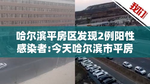 哈尔滨平房区发现2例阳性感染者:今天哈尔滨市平房区有感染者吗?