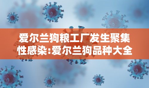 爱尔兰狗粮工厂发生聚集性感染:爱尔兰狗品种大全
