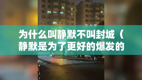 为什么叫静默不叫封城（静默是为了更好的爆发的意思）