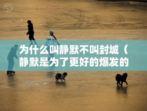 为什么叫静默不叫封城（静默是为了更好的爆发的意思）