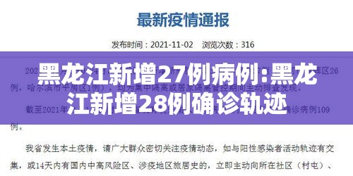 黑龙江新增27例病例:黑龙江新增28例确诊轨迹