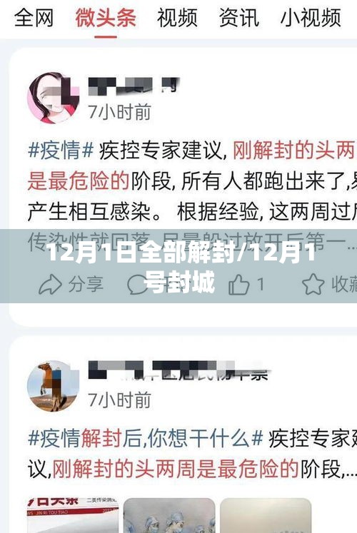 12月1日全部解封/12月1号封城