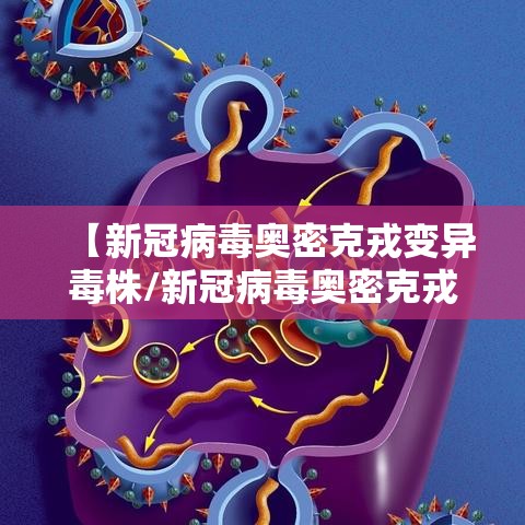 【新冠病毒奥密克戎变异毒株/新冠病毒奥密克戎变异毒株有哪些】