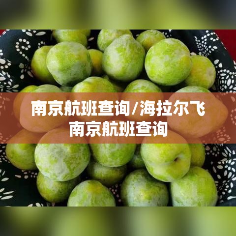 南京航班查询/海拉尔飞南京航班查询