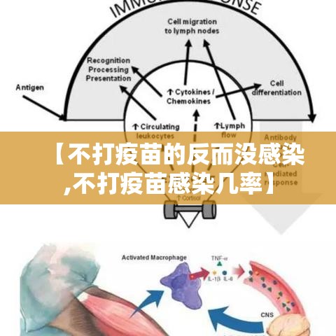 【不打疫苗的反而没感染,不打疫苗感染几率】
