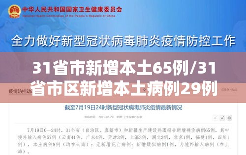 31省市新增本土65例/31省市区新增本土病例29例