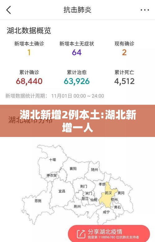 湖北新增2例本土:湖北新增一人