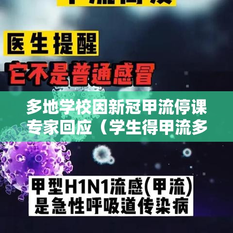 多地学校因新冠甲流停课专家回应（学生得甲流多久能上课）