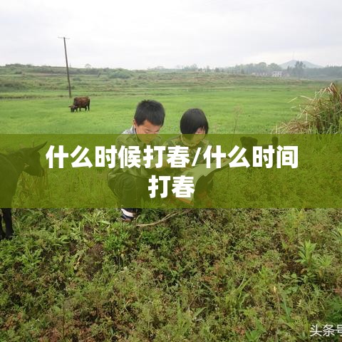 什么时候打春/什么时间打春