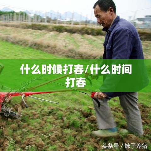 什么时候打春/什么时间打春