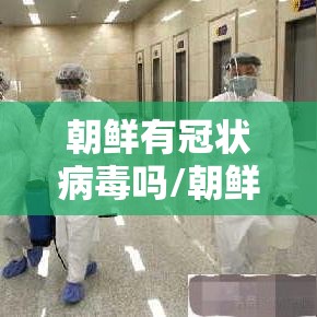 朝鲜有冠状病毒吗/朝鲜有没有冠状病毒