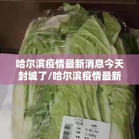 哈尔滨疫情最新消息今天封城了/哈尔滨疫情最新通知今天