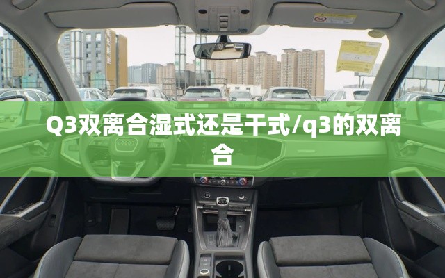 Q3双离合湿式还是干式/q3的双离合