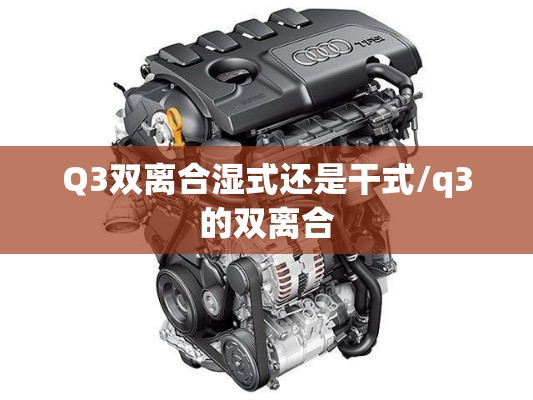Q3双离合湿式还是干式/q3的双离合