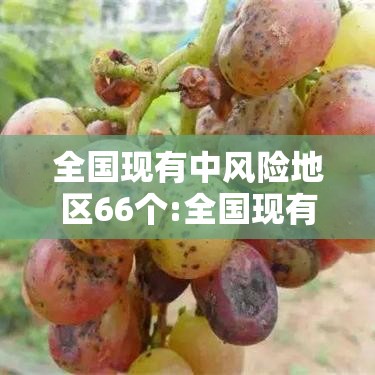 全国现有中风险地区66个:全国现有中风险地区66个城市 全国现有中风险地区66个:全国现有中风险地区66个城市