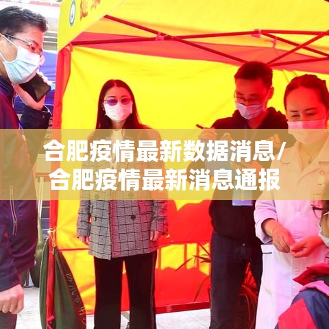 合肥疫情最新数据消息/合肥疫情最新消息通报