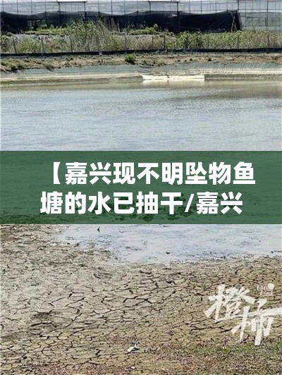 【嘉兴现不明坠物鱼塘的水已抽干/嘉兴鱼塘不明坠物找到了吗】