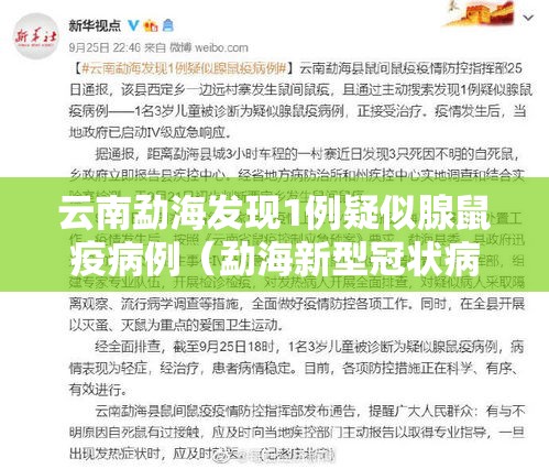 云南勐海发现1例疑似腺鼠疫病例（勐海新型冠状病毒疫情通报）