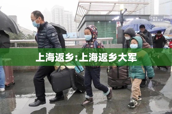 上海返乡:上海返乡大军 上海返乡:上海返乡大军