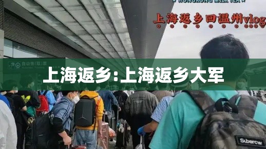 上海返乡:上海返乡大军 上海返乡:上海返乡大军