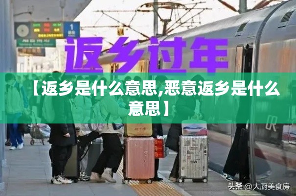 【返乡是什么意思,恶意返乡是什么意思】