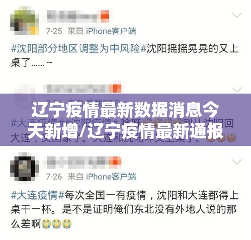 辽宁疫情最新数据消息今天新增/辽宁疫情最新通报今天