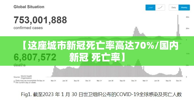 【这座城市新冠死亡率高达70%/国内 新冠 死亡率】