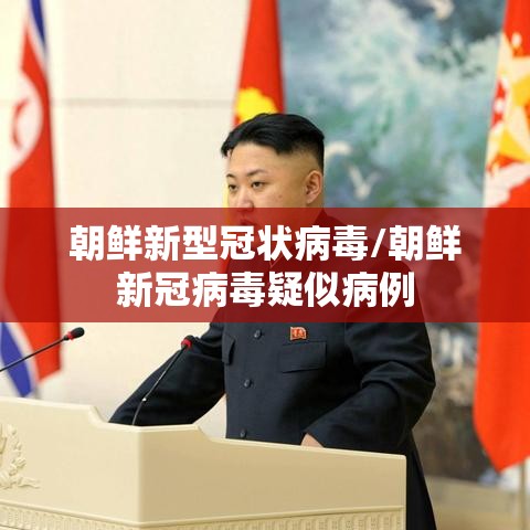 朝鲜新型冠状病毒/朝鲜新冠病毒疑似病例