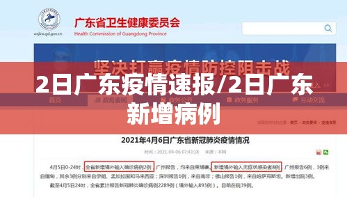 2日广东疫情速报/2日广东新增病例