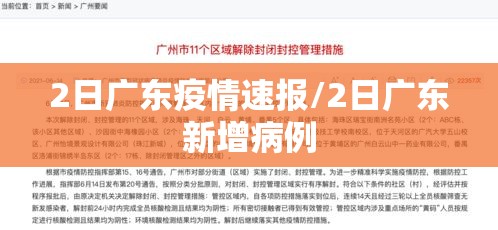 2日广东疫情速报/2日广东新增病例