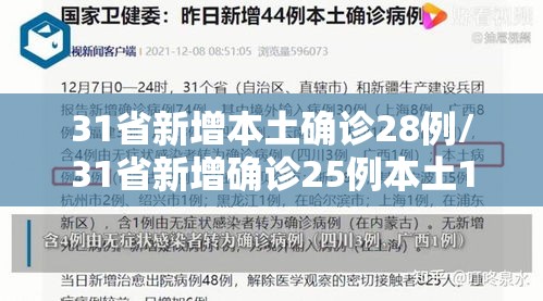 31省新增本土确诊28例/31省新增确诊25例本土15例