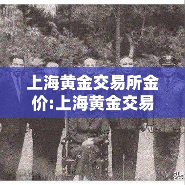 上海黄金交易所金价:上海黄金交易所金价今日实时行情
