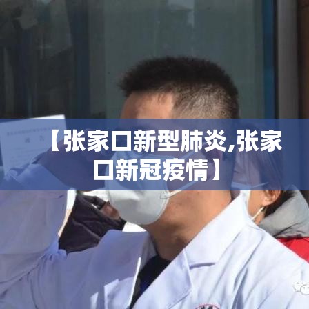 【张家口新型肺炎,张家口新冠疫情】