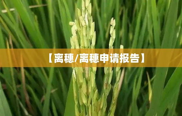 【离穗/离穗申请报告】