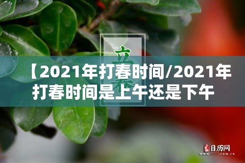【2021年打春时间/2021年打春时间是上午还是下午】
