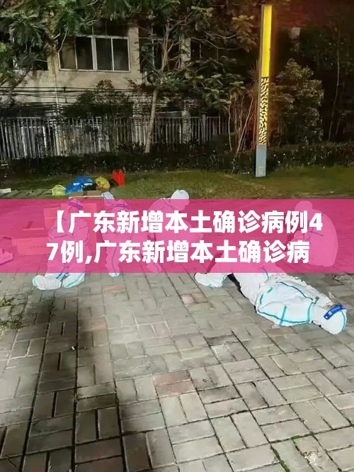 【广东新增本土确诊病例47例,广东新增本土确诊病例11例】