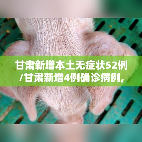 甘肃新增本土无症状52例/甘肃新增4例确诊病例,累计确诊71例,新增疑似病例5例