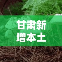 甘肃新增本土无症状52例/甘肃新增4例确诊病例,累计确诊71例,新增疑似病例5例