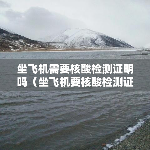 坐飞机需要核酸检测证明吗（坐飞机要核酸检测证明么）